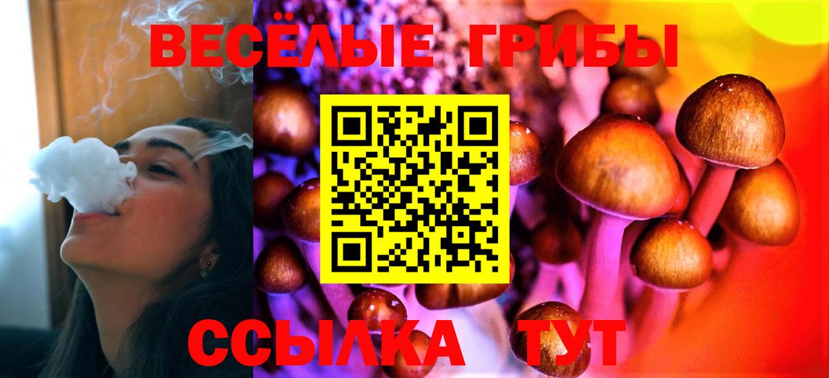 Галлюциногенные грибы MAGIC MUSHROOMS Усть-Джегута