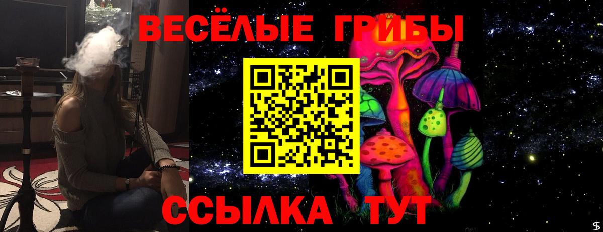 даркнет сайт  Вход с VPN  Усть-Джегута  Галлюциногенные грибы Cubensis 
